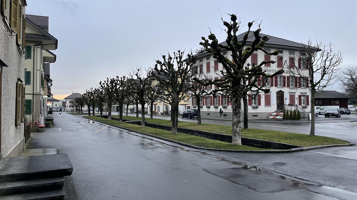 Bild 9: Immobilie in 6018 Buttisholz zu vermieten