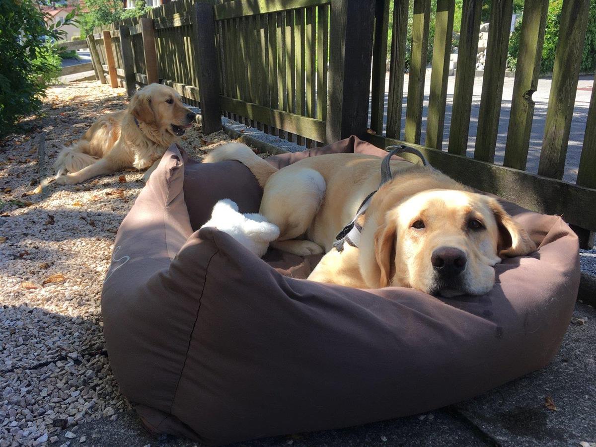 Bild 13: 1.5 Zimmer Wohnung in 9410 Heiden zu vermieten