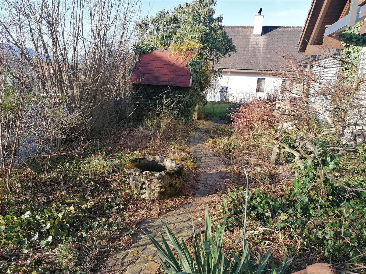 Bild 14: 4.5 Zimmer Haus in 4469 Anwil zu vermieten