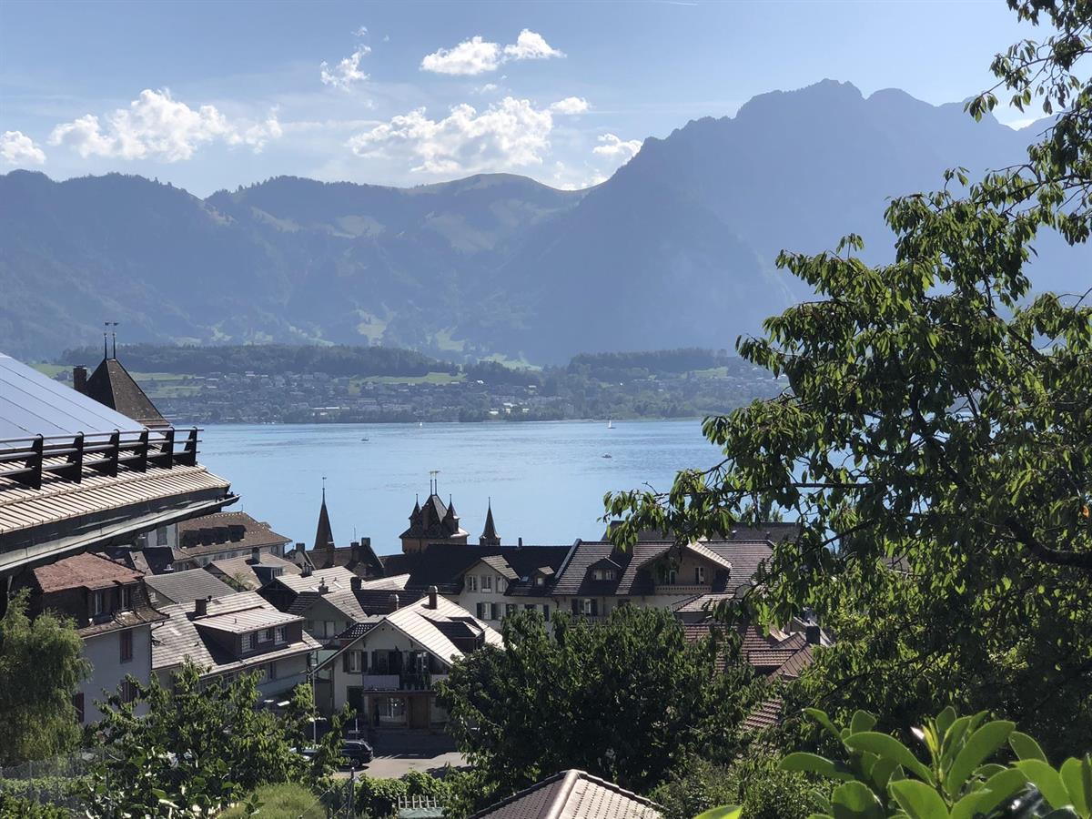 2 Zimmer Wohnung in 3653 Oberhofen am Thunersee zu vermieten