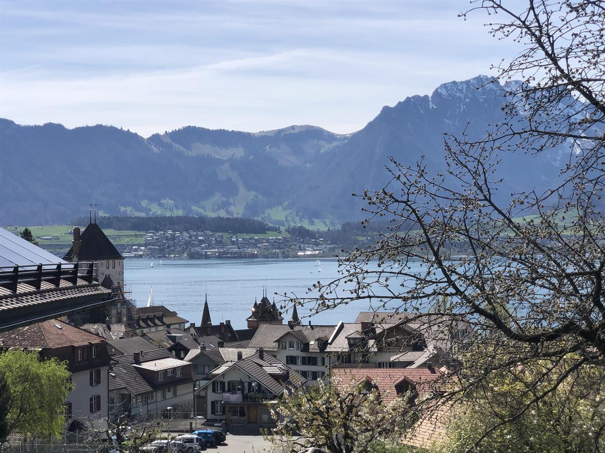 Bild 16: 2 Zimmer Wohnung in 3653 Oberhofen am Thunersee zu vermieten