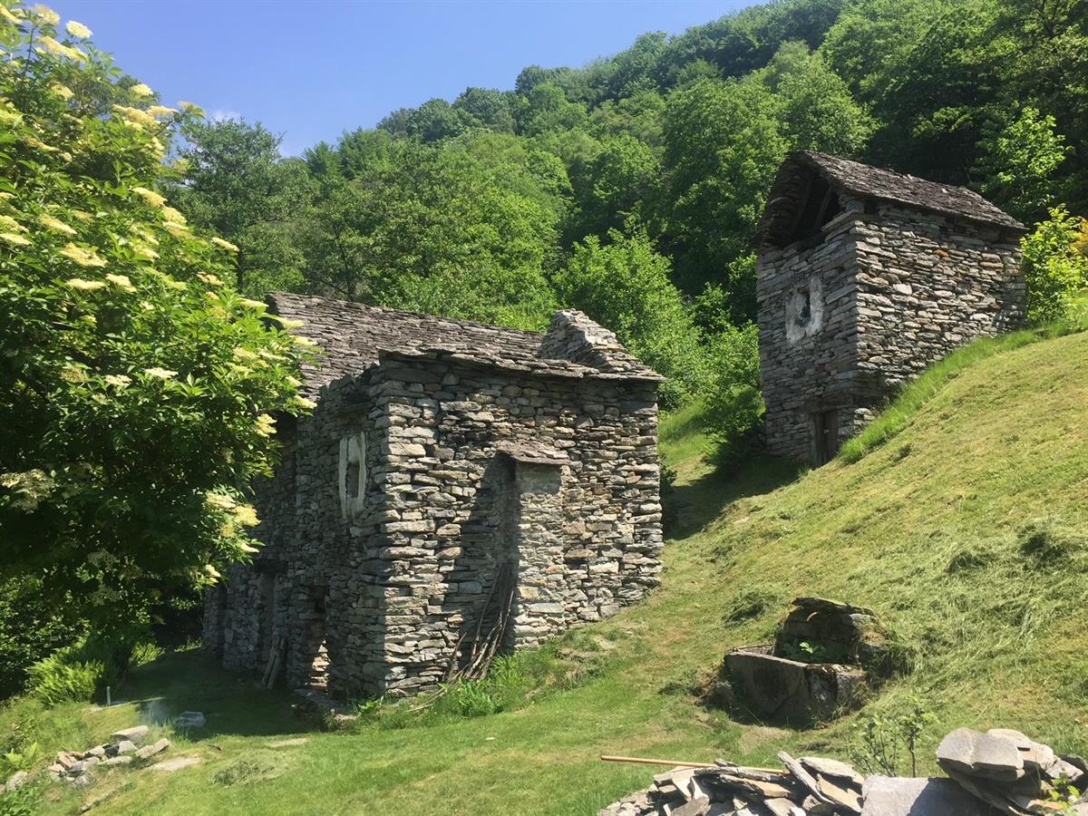 Bild 2: Immobilie in 6632 Vogorno zu verkaufen