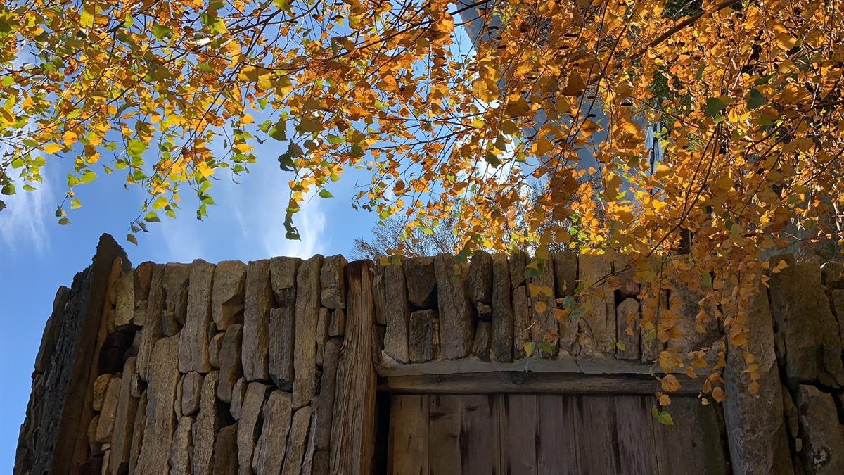 Bild 3: Immobilie in 6632 Vogorno zu verkaufen