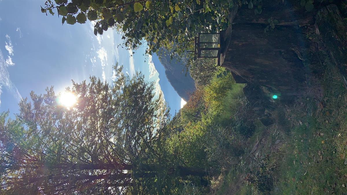 Bild 4: Immobilie in 6632 Vogorno zu verkaufen