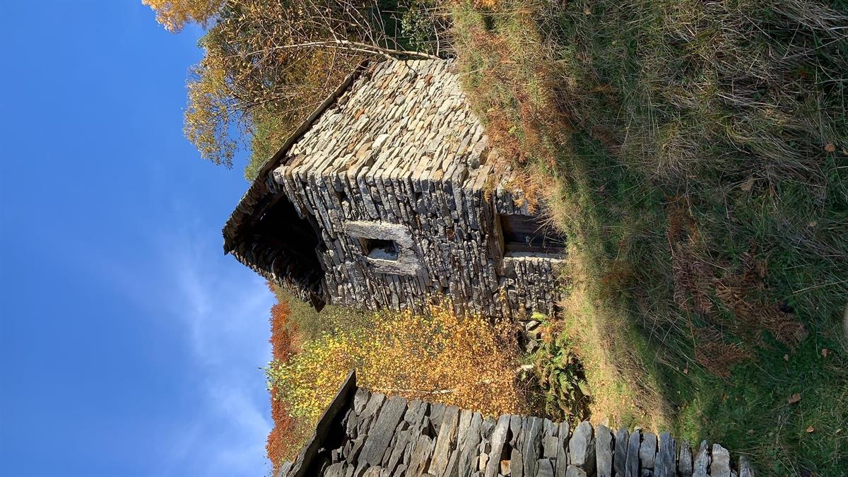 Bild 7: Immobilie in 6632 Vogorno zu verkaufen