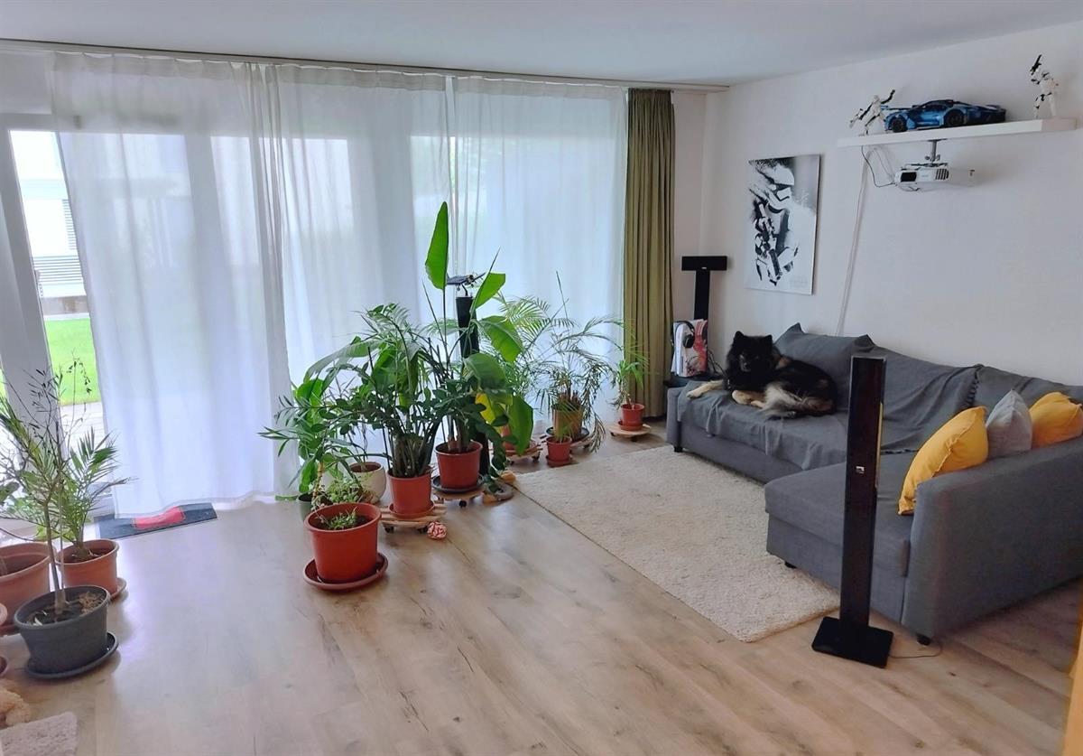 Bild 5: 2.5 Zimmer Wohnung in 5611 Anglikon zu vermieten