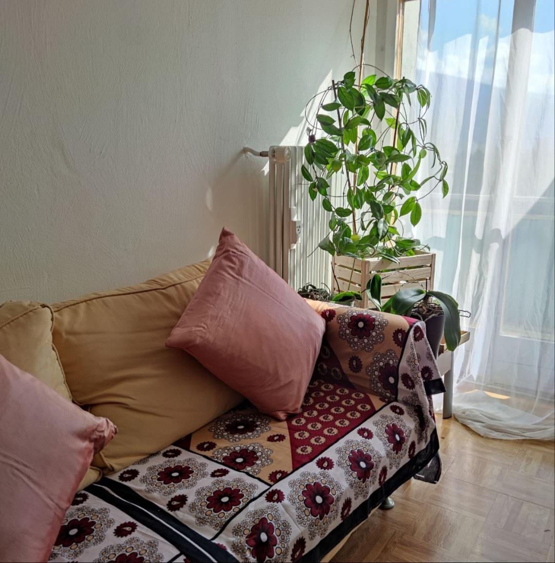 1.5 Zimmer Wohnung in 3960 Sierre zu vermieten