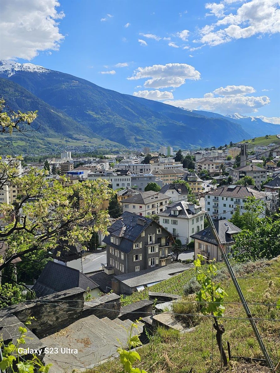 Bild 6: 1.5 Zimmer Wohnung in 3960 Sierre zu vermieten