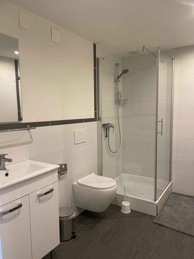 Bild 5: 1 Zimmer Wohnung in 5043 Holziken zu vermieten