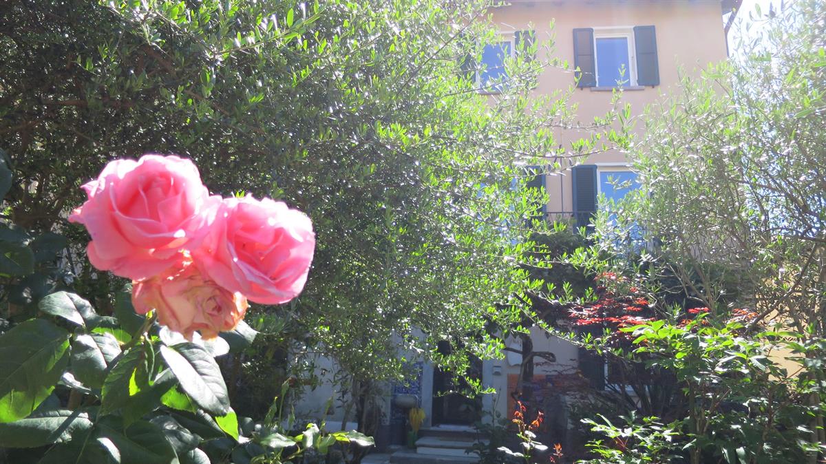 7.5 Zimmer Haus in 6986 Curio zu verkaufen