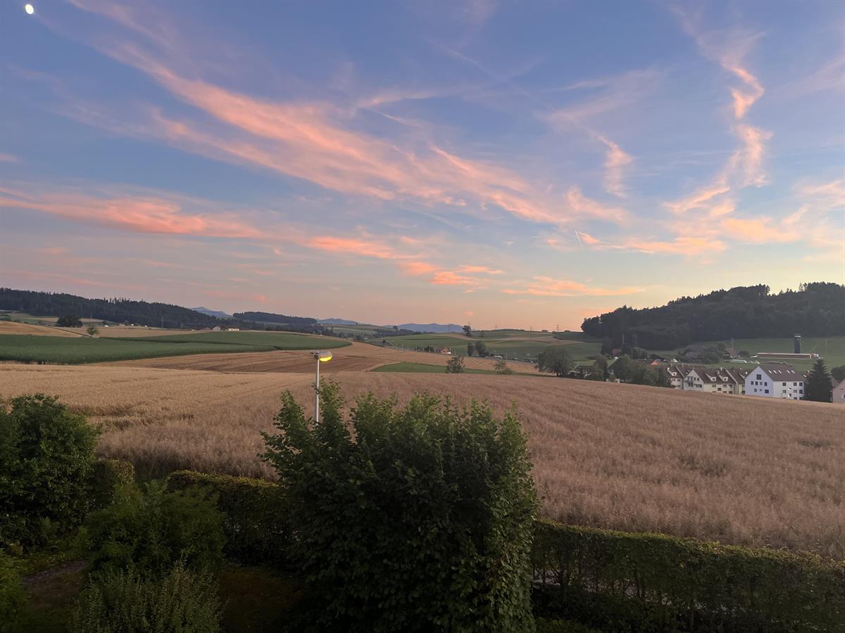 Bild 2: 3.5 Zimmer Wohnung in 3098 Köniz zu vermieten