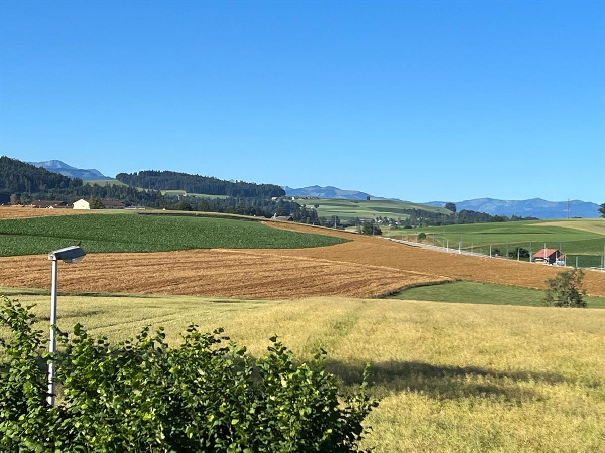 Bild 3: 3.5 Zimmer Wohnung in 3098 Köniz zu vermieten