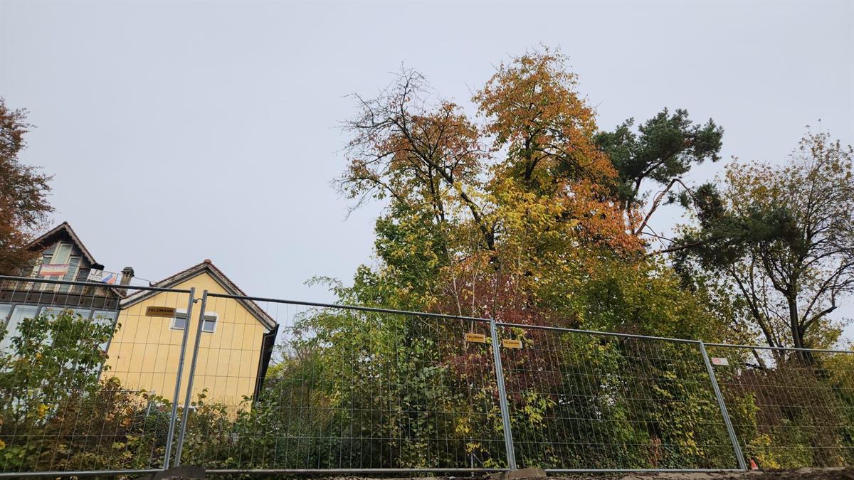 Bild 9: 1.5 Zimmer Wohnung in 8180 Bülach zu vermieten