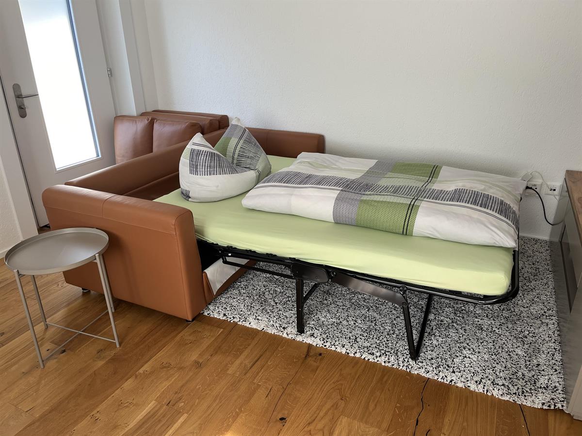 Bild 7: 2.5 Zimmer Ferienwohnung in 5647 Oberrüti zu vermieten