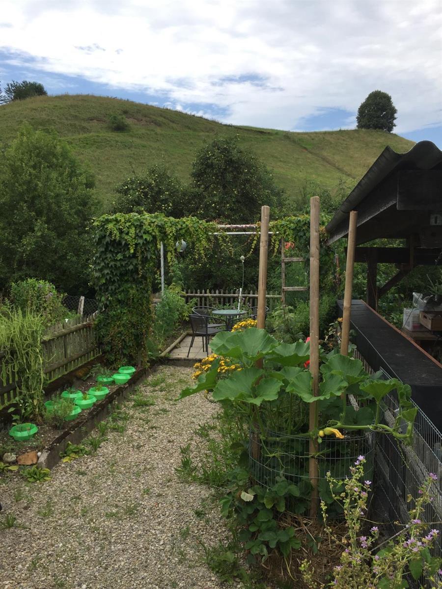 Bild 2: 3.5 Zimmer Haus in 9606 Bütschwil zu vermieten