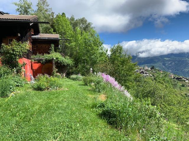 Bild 2: 5 Zimmer Haus in 3934 Zeneggen zu vermieten