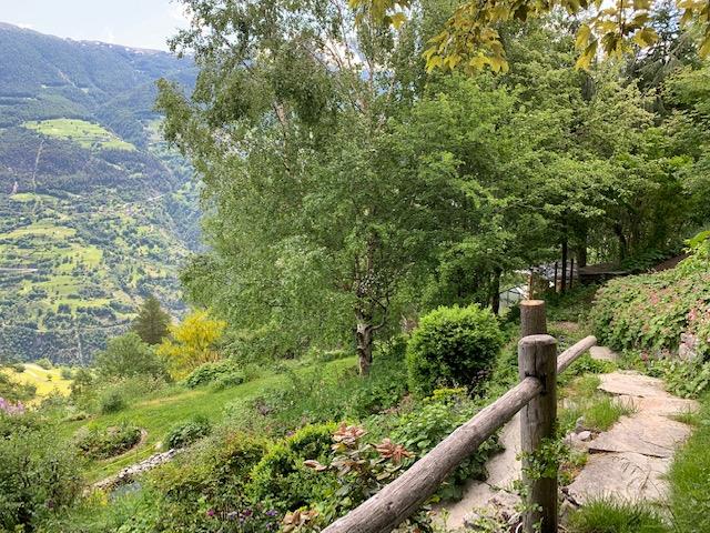 Bild 4: 5 Zimmer Haus in 3934 Zeneggen zu vermieten