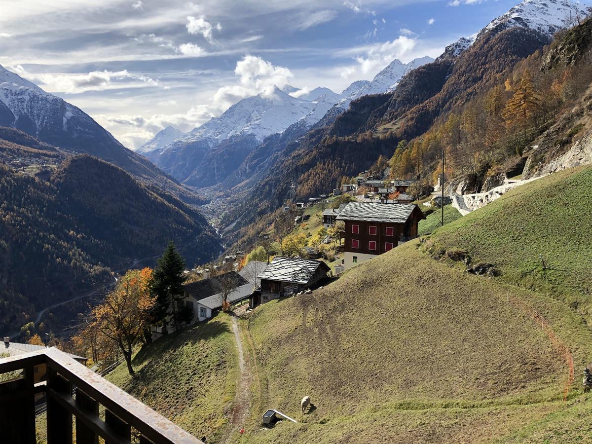 Bild 2: 6.5 Zimmer Haus in 3926 Embd zu verkaufen