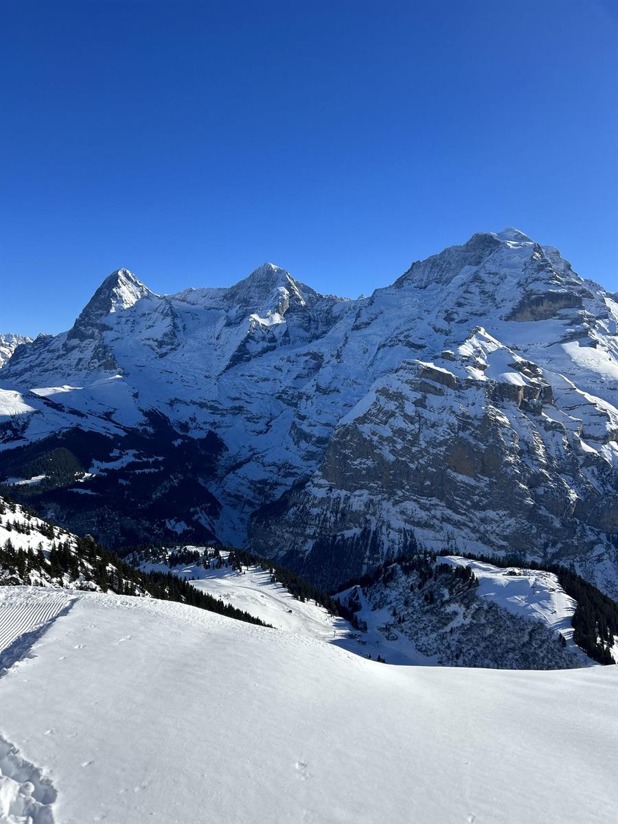 4.5 Zimmer Ferienwohnung in 3825 Mürren zu vermieten