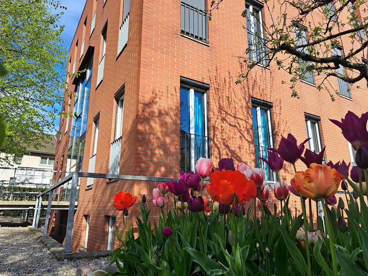 4.5 Zimmer Wohnung in 5034 Suhr zu vermieten