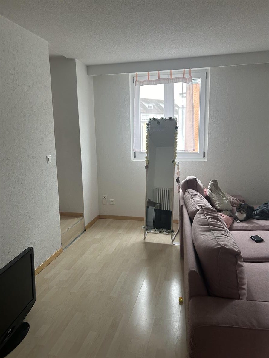 Bild 11: 3.5 Zimmer Wohnung in 4600 Olten zu vermieten