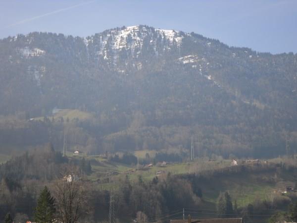 Bild 19: 5.5 Zimmer Wohnung in 6410 Goldau zu vermieten