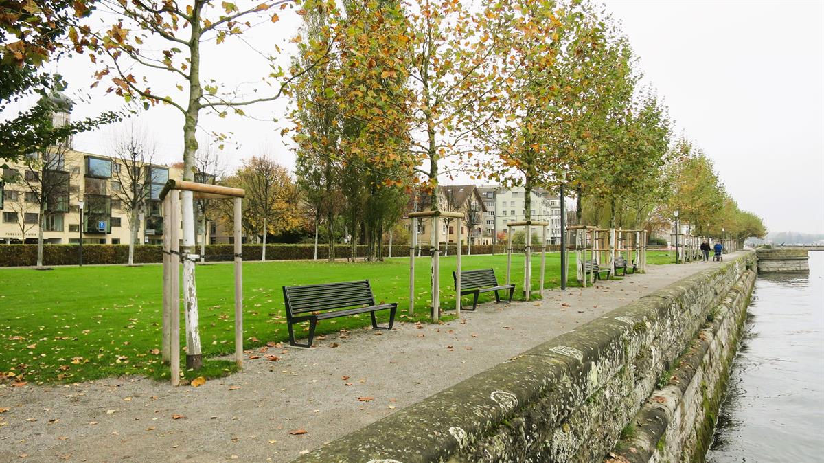 4.5 Zimmer Wohnung in 9400 Rorschach zu verkaufen