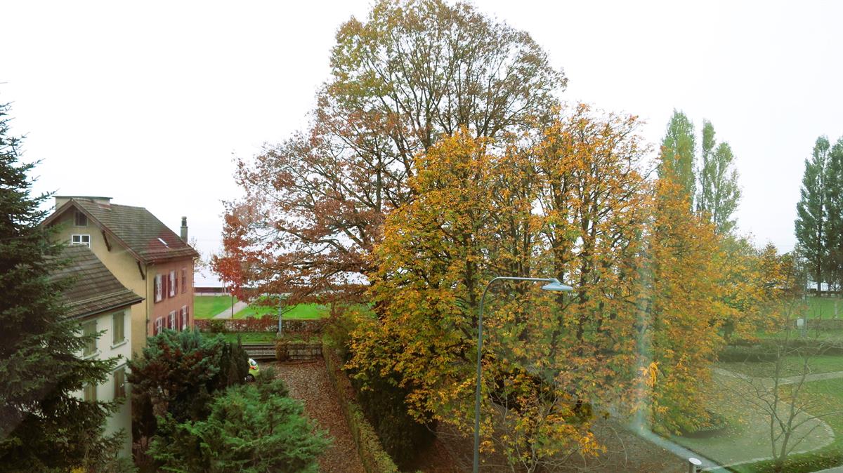 Bild 10: 4.5 Zimmer Wohnung in 9400 Rorschach zu verkaufen