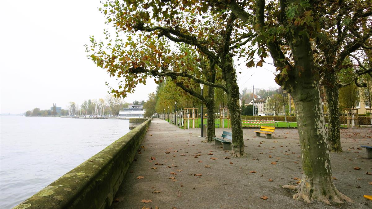 Bild 2: 4.5 Zimmer Wohnung in 9400 Rorschach zu verkaufen