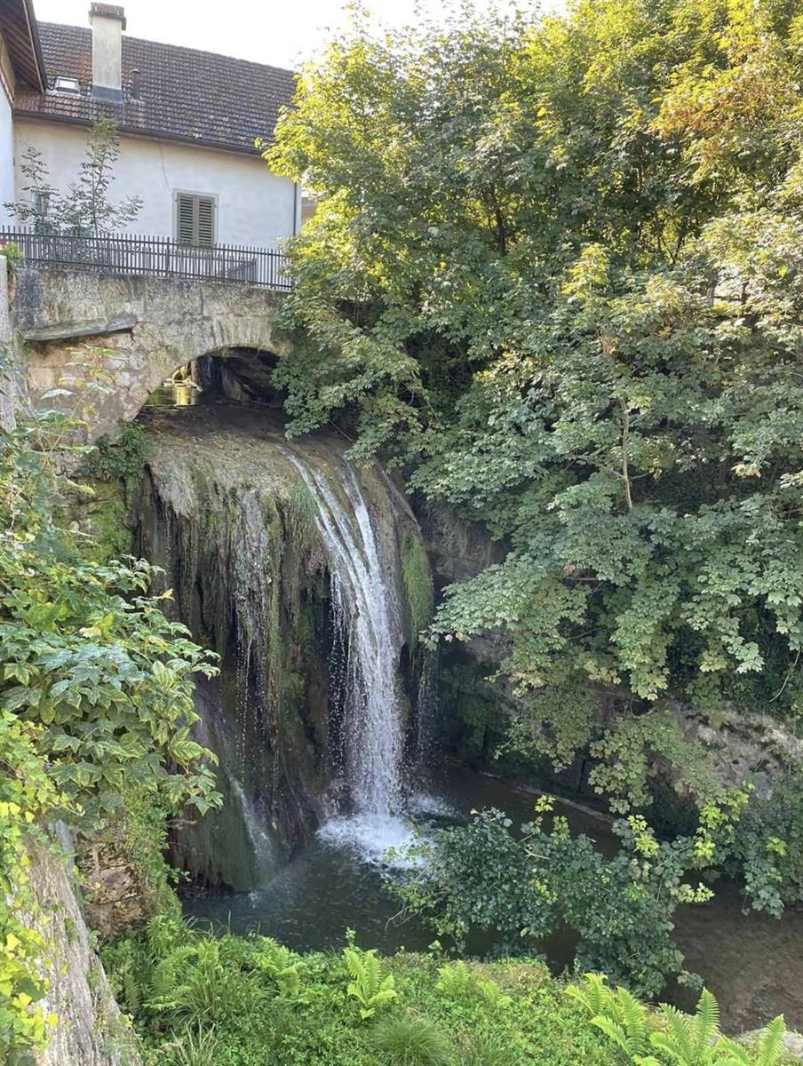 Bild 2: 5.5 Zimmer Haus in 8422 Pfungen zu vermieten