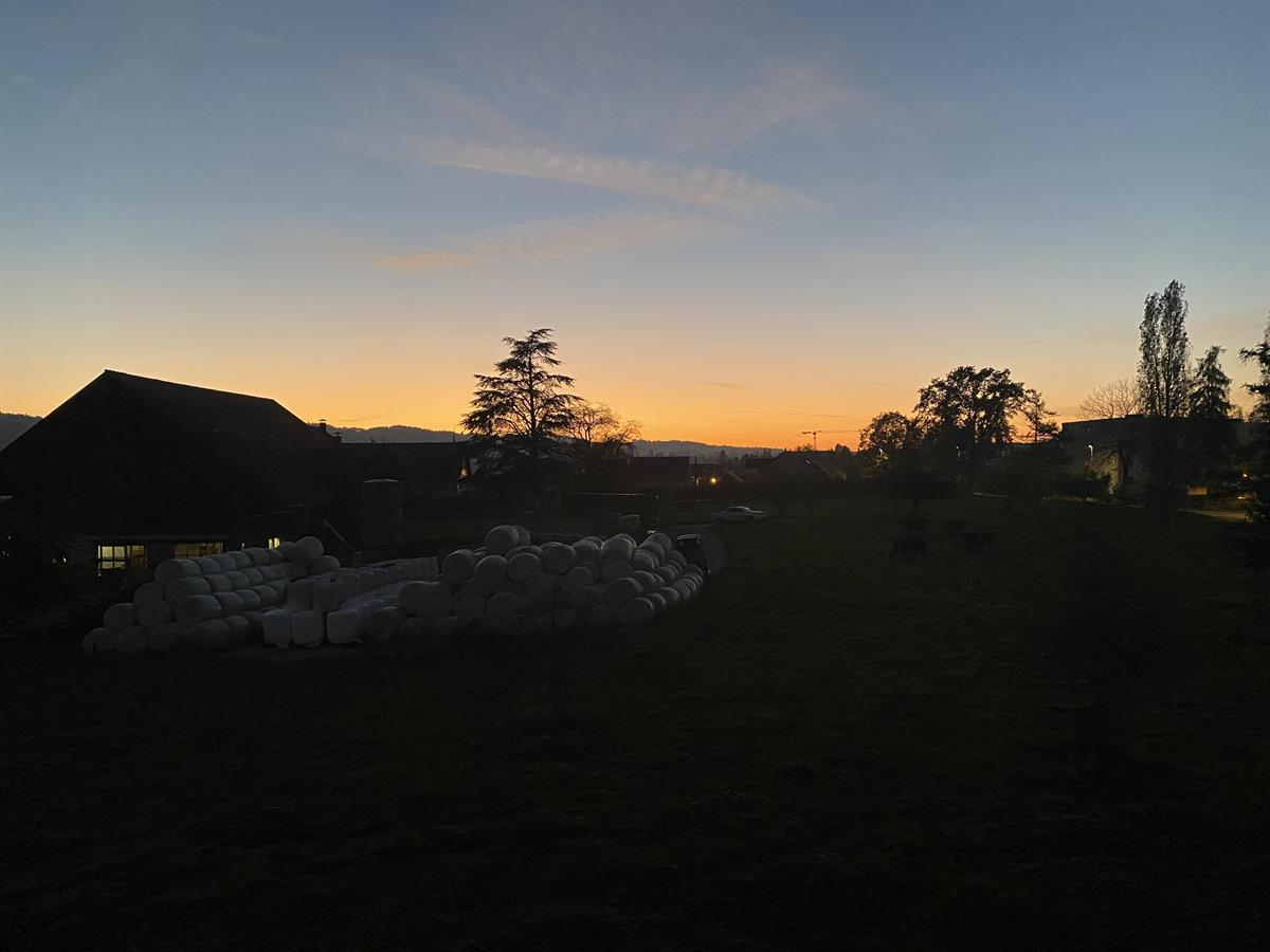 Bild 4: 5.5 Zimmer Wohnung in 9320 Arbon zu verkaufen