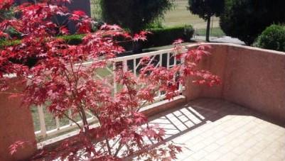 Bild 2: 3.5 Zimmer Wohnung in 1196 Gland VD zu verkaufen