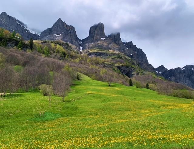 Bild 3: 1 Zimmer Wohnung in 3954 Leukerbad zu verkaufen