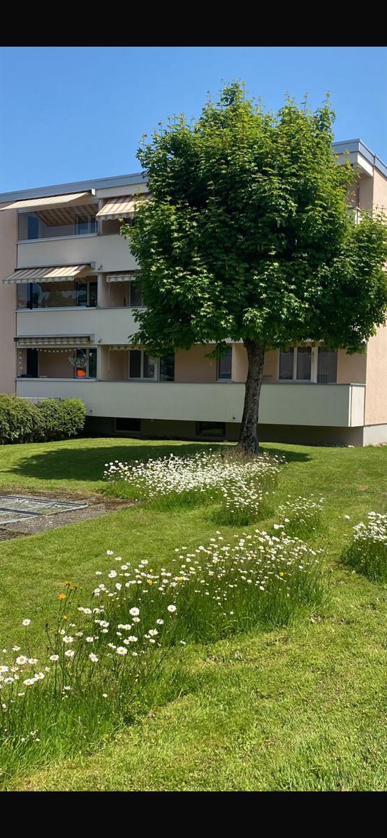 1.5 Zimmer Wohnung in 9030 Abtwil SG zu vermieten