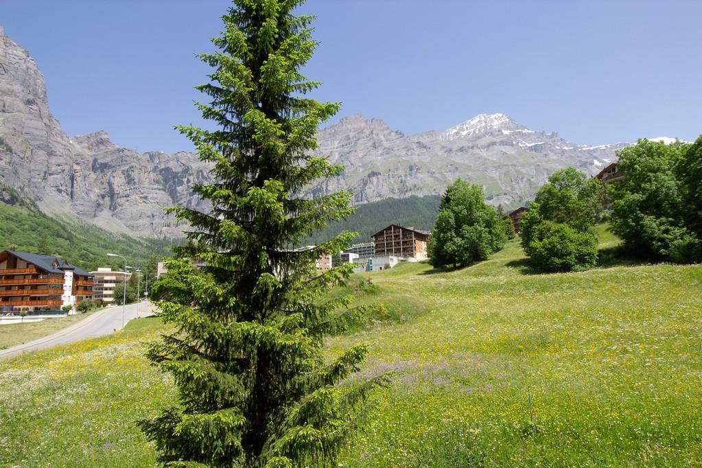 Bild 13: 2.5 Zimmer Wohnung in 3954 Leukerbad zu verkaufen