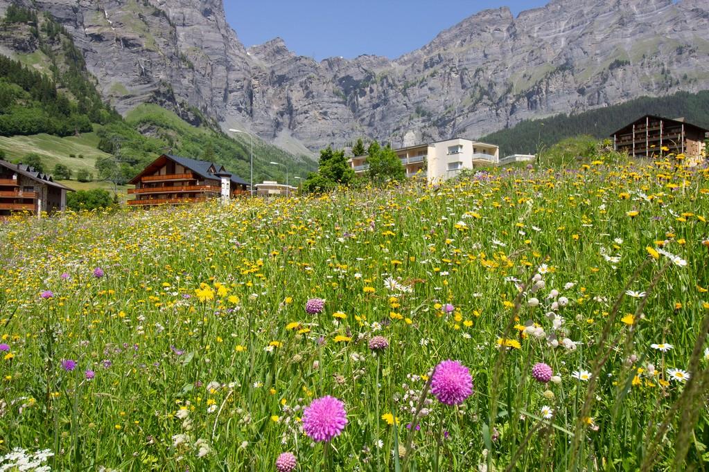 Bild 14: 2.5 Zimmer Wohnung in 3954 Leukerbad zu verkaufen