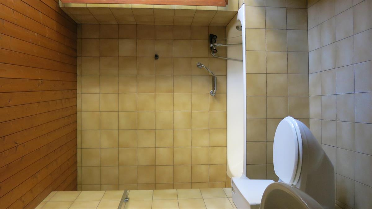 Bild 6: 2.5 Zimmer Haus in 6537 Grono zu verkaufen