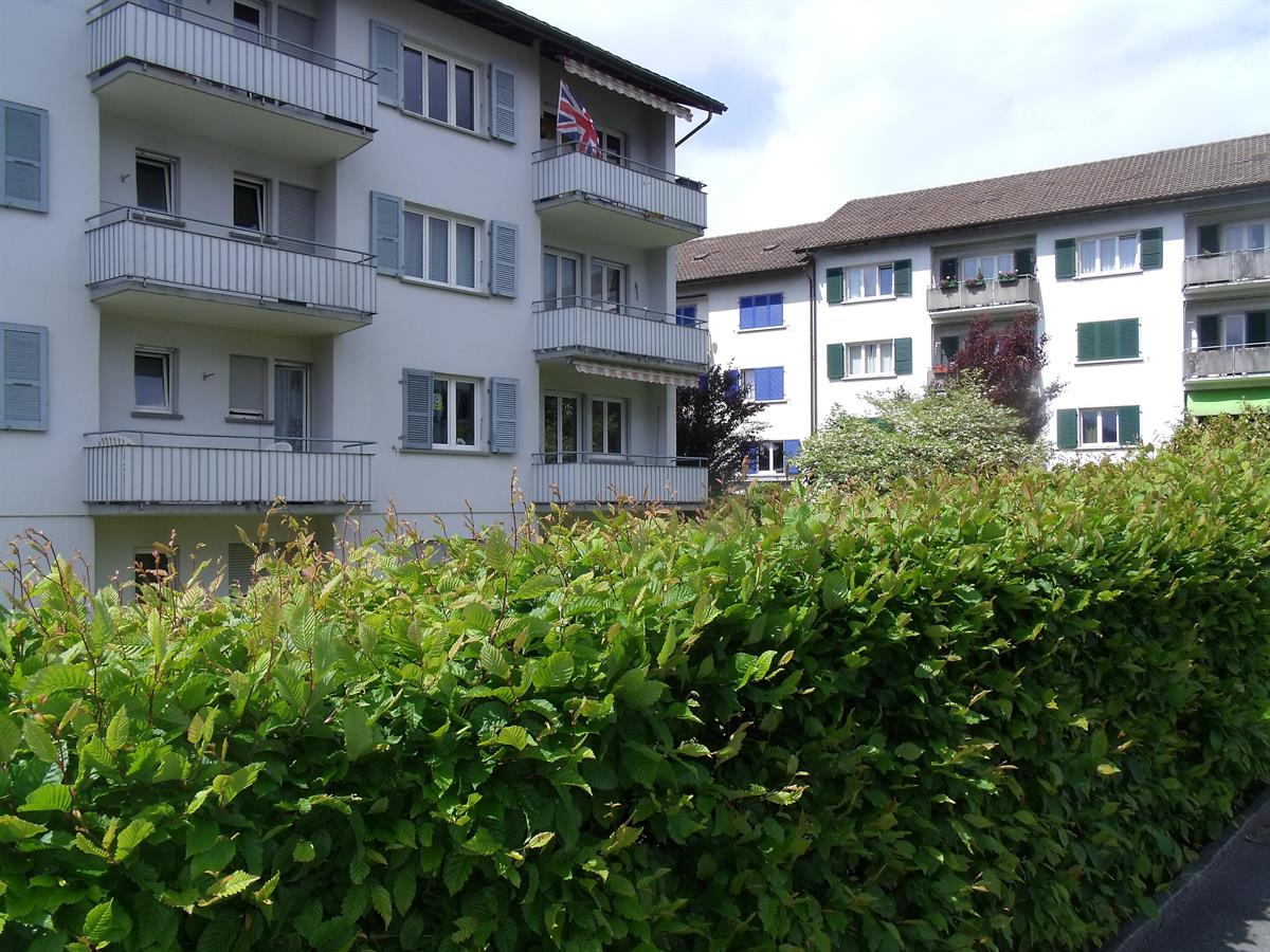 1.5 Zimmer Wohnung in 4600 Olten zu vermieten