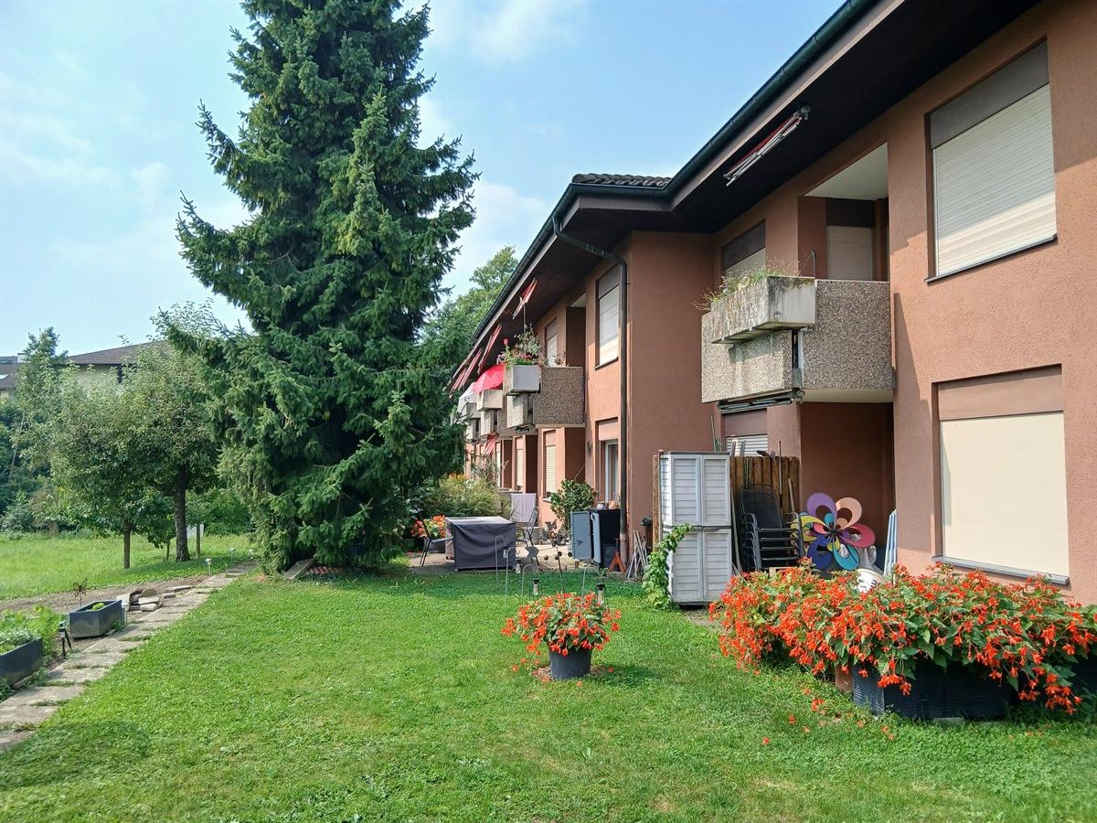 Bild 4: 1.5 Zimmer Wohnung in 8965 Berikon zu vermieten