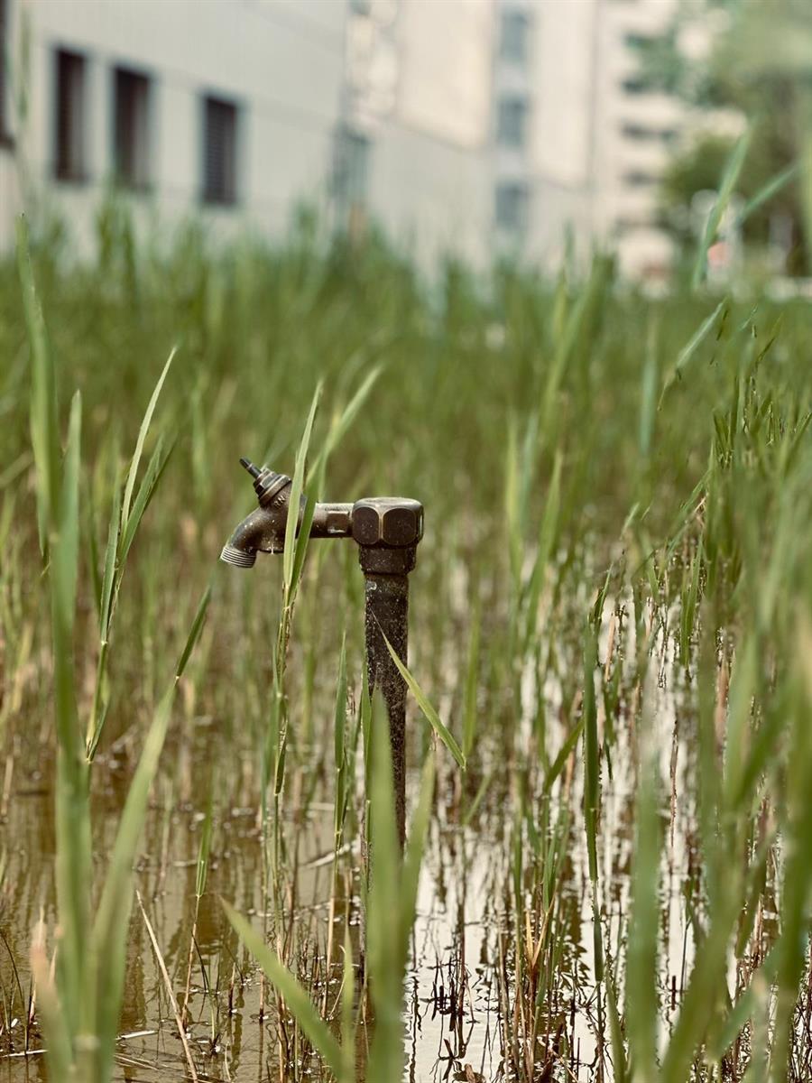 Bild 14: Wohngemeinschaft (WG) Wohnung in 8050 Zürich Oerlikon, Stadtkreis 11 zu vermieten