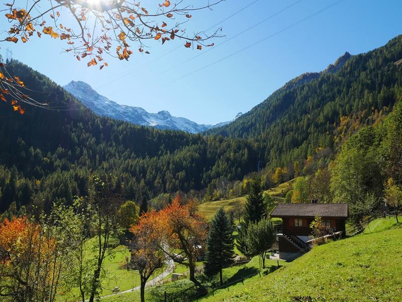Bild 6: 2.5 Zimmer Ferienwohnung in 6774 Dalpe zu vermieten