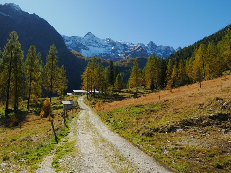 Bild 7: 2.5 Zimmer Ferienwohnung in 6774 Dalpe zu vermieten