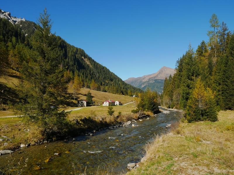 Bild 8: 2.5 Zimmer Ferienwohnung in 6774 Dalpe zu vermieten