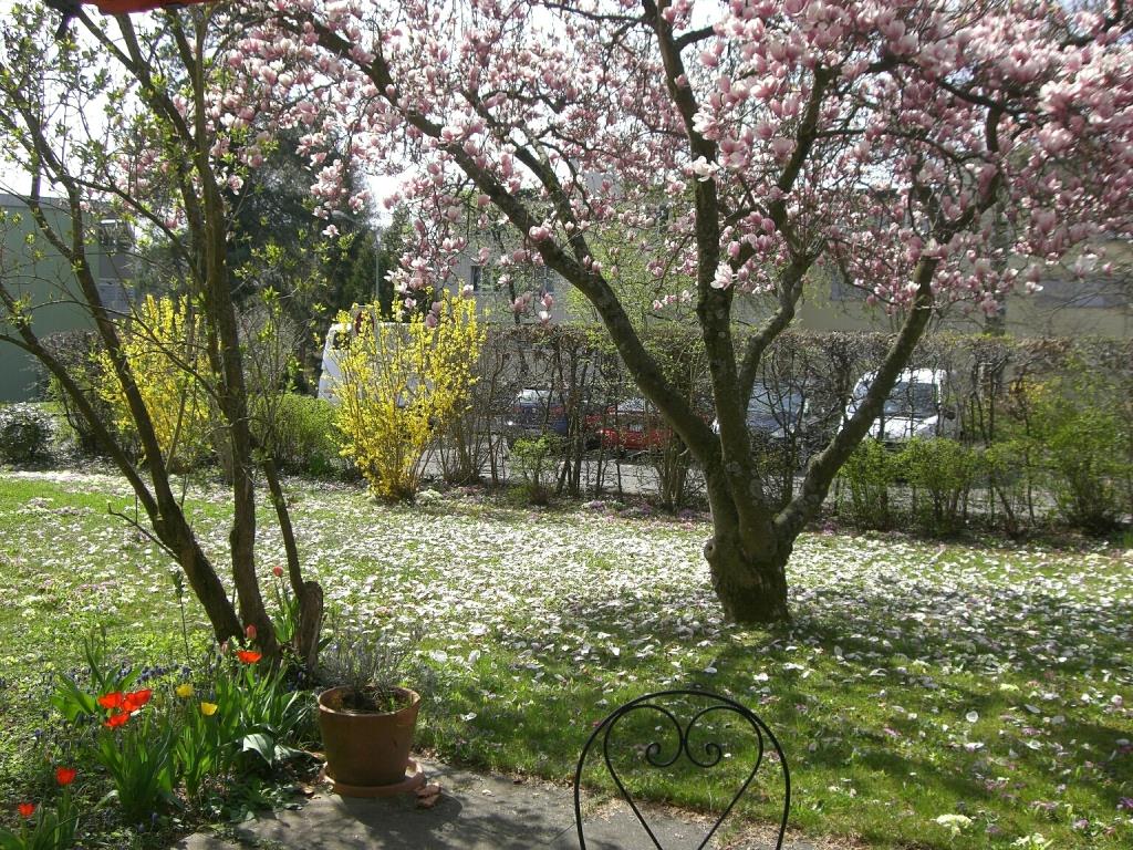 Bild 5: 1.5 Zimmer Wohnung in 8052 Zürich Seebach, Stadtkreis 11 zu vermieten