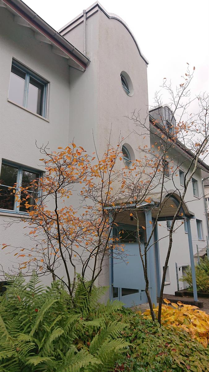 3.5 Zimmer Wohnung in 8132 Egg bei Zürich zu vermieten