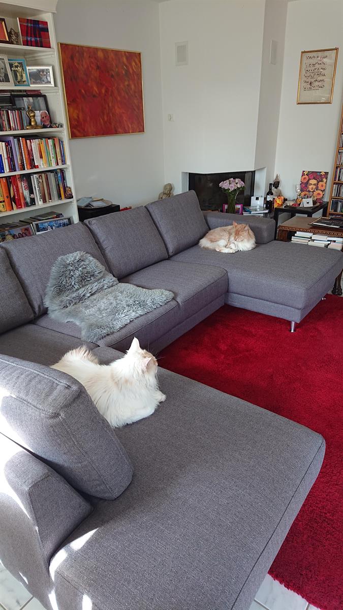 Bild 2: 3.5 Zimmer Wohnung in 8132 Egg bei Zürich zu vermieten