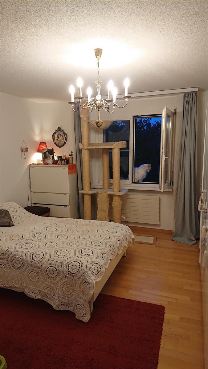 Bild 4: 3.5 Zimmer Wohnung in 8132 Egg bei Zürich zu vermieten