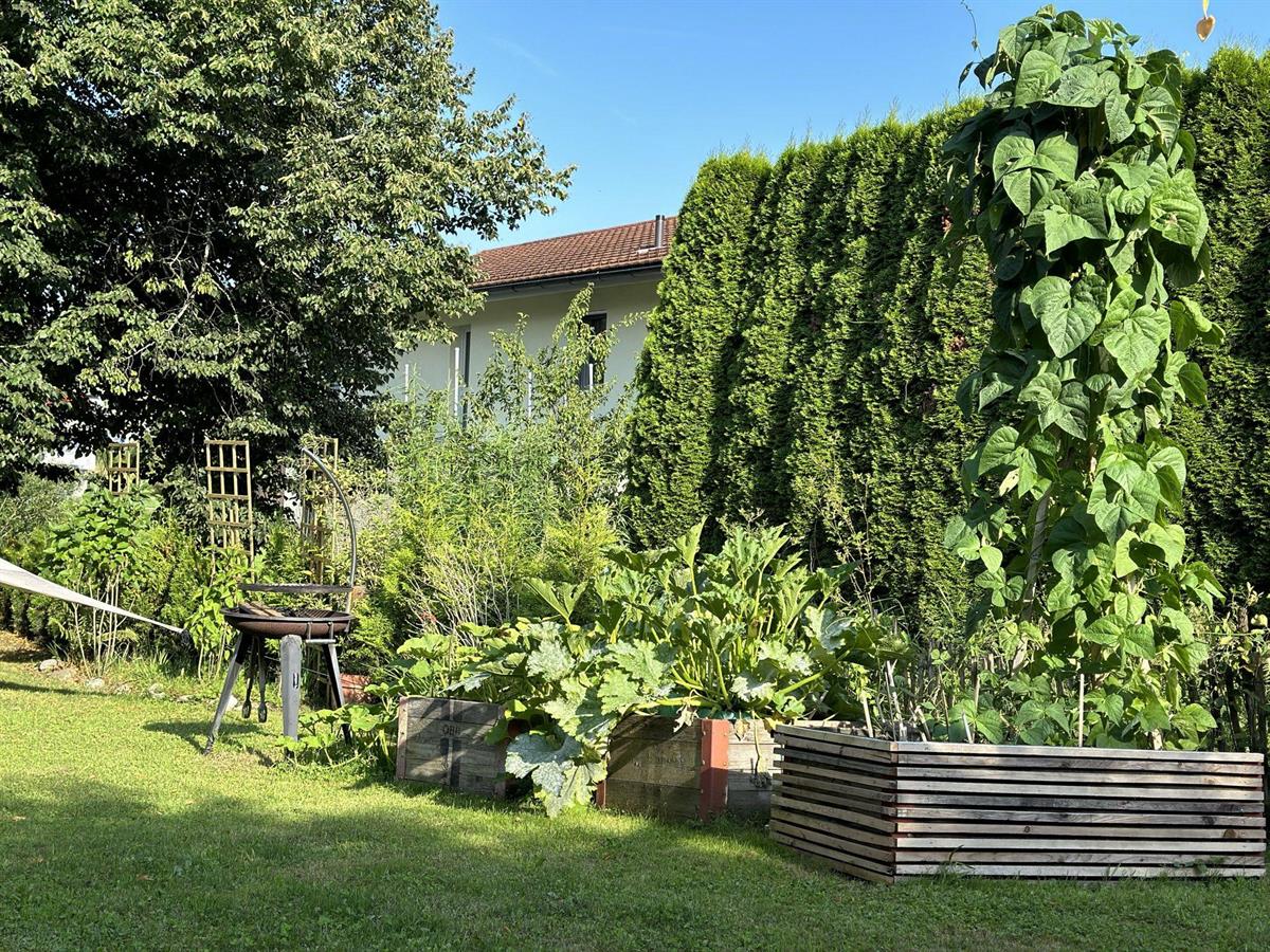 Bild 7: 4.5 Zimmer Haus in 8637 Laupen ZH zu vermieten