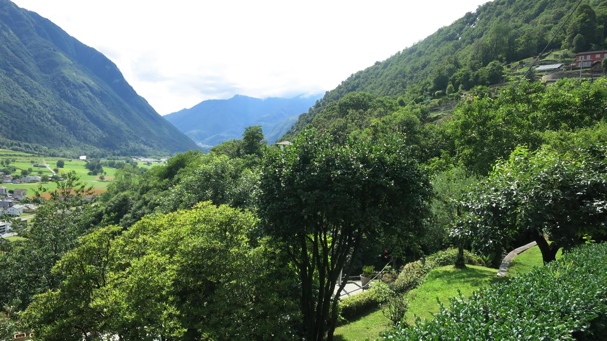 Bild 5: 8 Zimmer Haus in 6535 Roveredo GR zu verkaufen