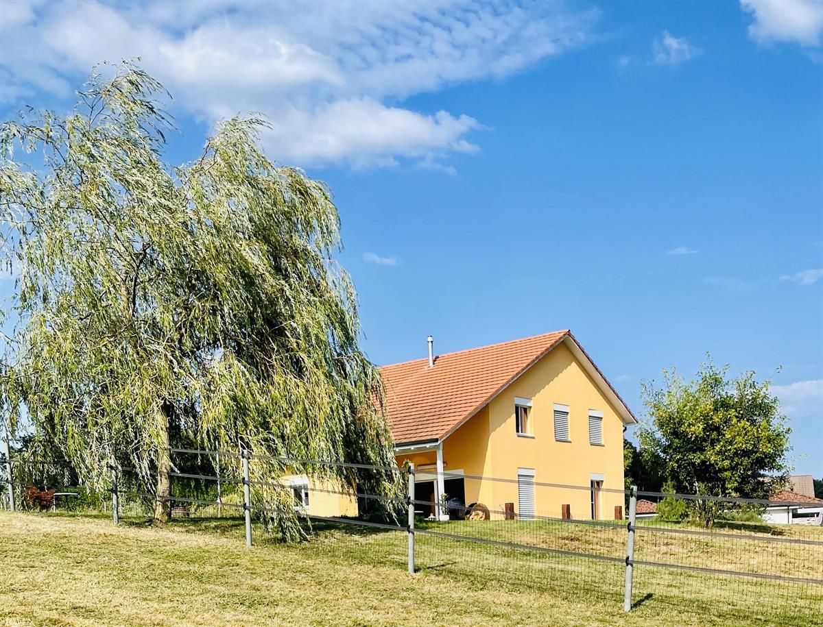 Bild 2: 6.5 Zimmer Haus in 2944 Bonfol zu verkaufen